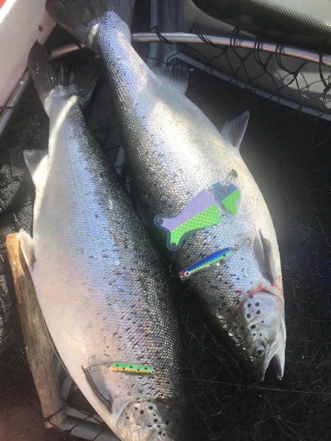 Tintti-Uistimen galleria