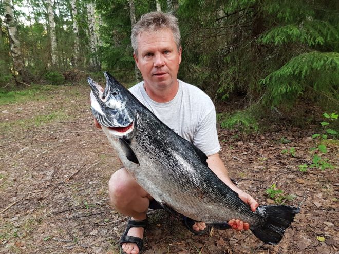 Tintti-Uistimen galleria