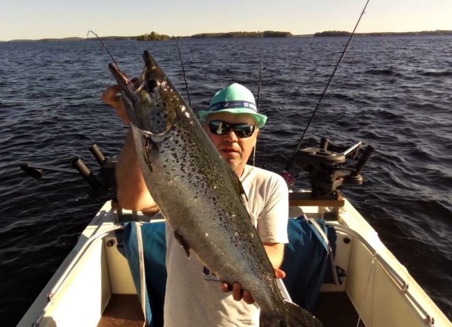 Tintti-Uistimen galleria