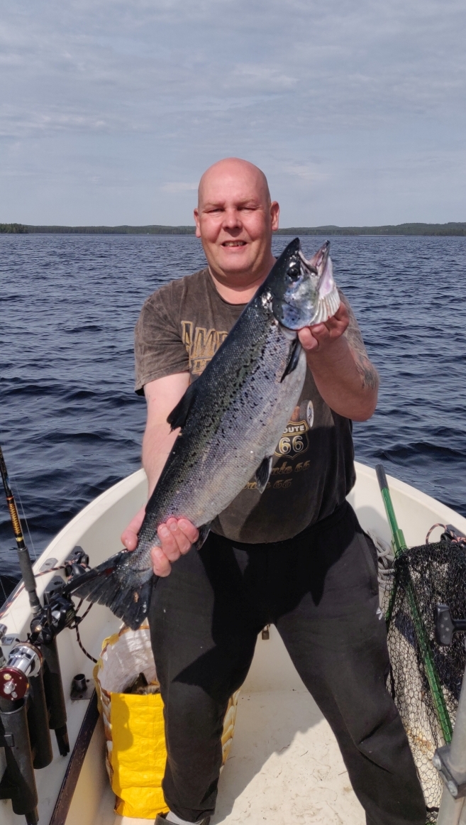 Tintti-Uistimen galleria