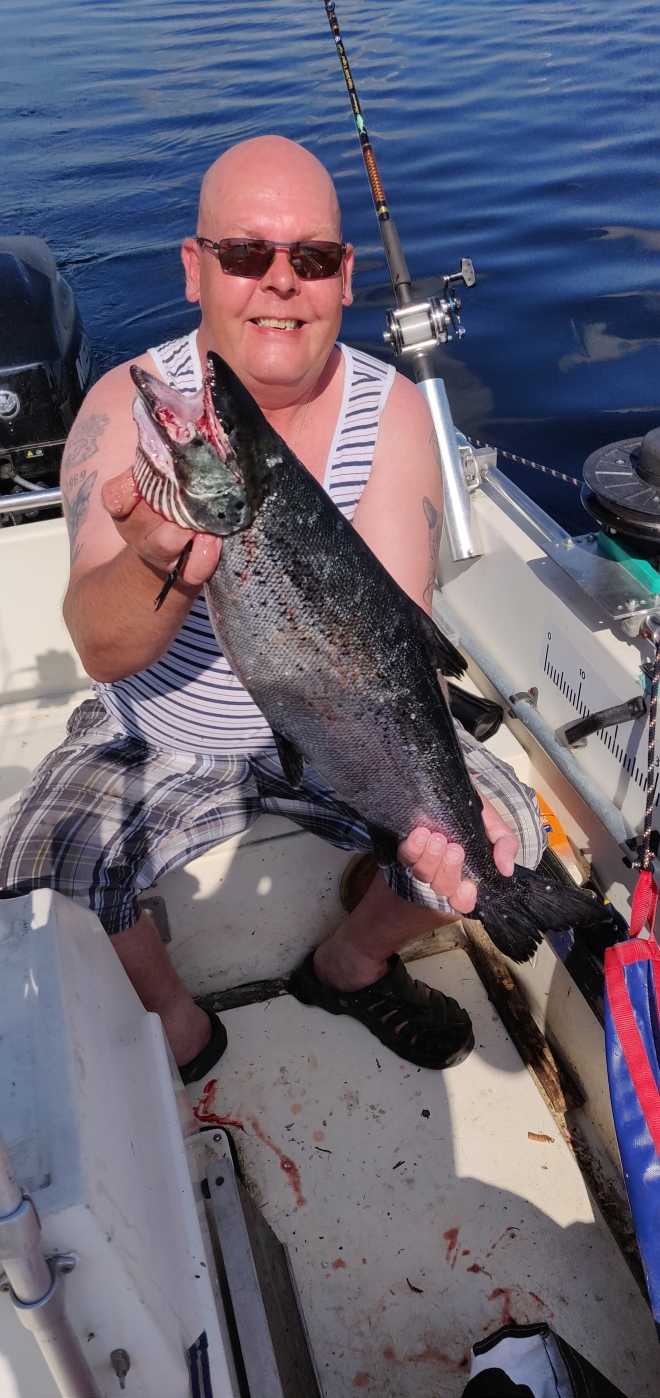 Tintti-Uistimen galleria