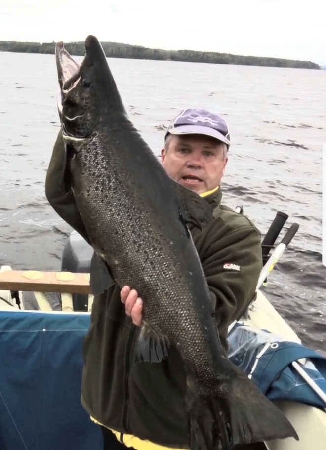 Tintti-Uistimen galleria