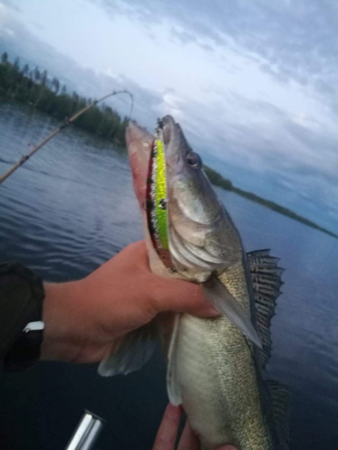 Tintti-Uistimen galleria