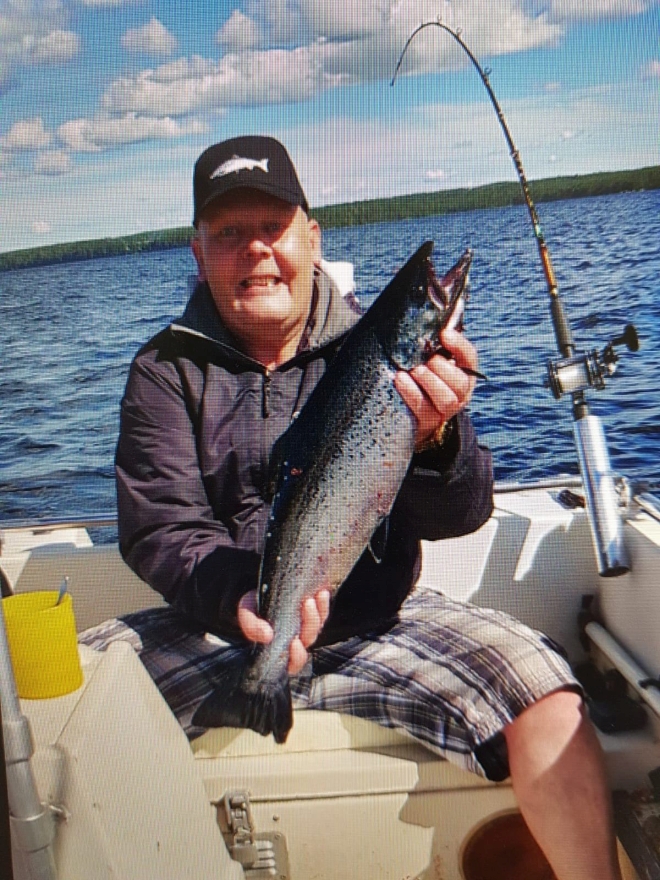 Tintti-Uistimen galleria