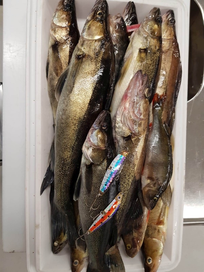 Tintti-Uistimen galleria