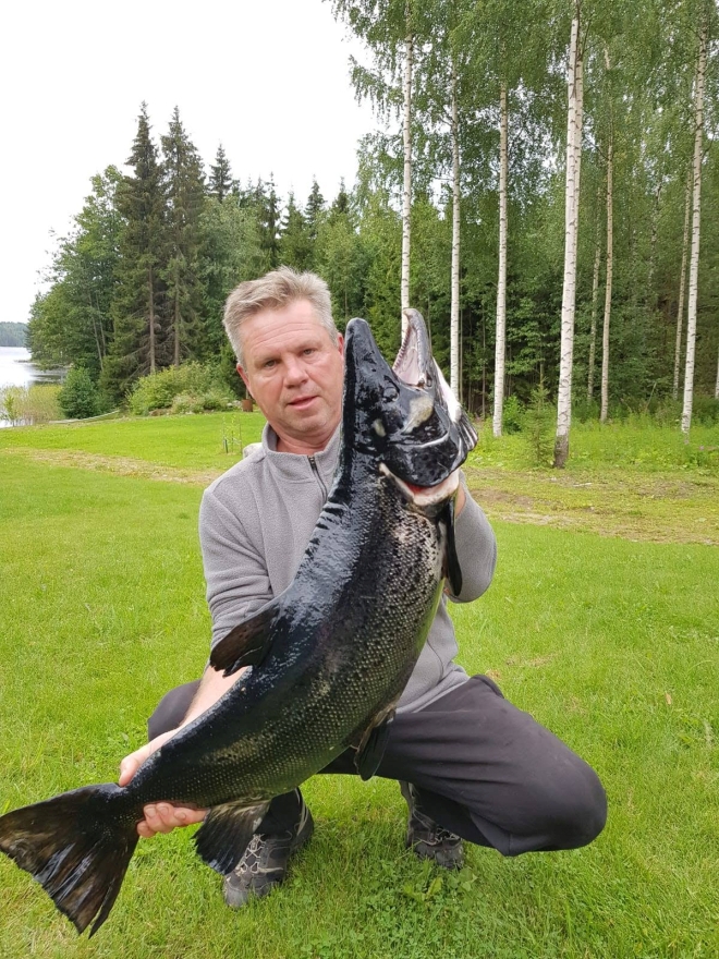 Tintti-Uistimen galleria