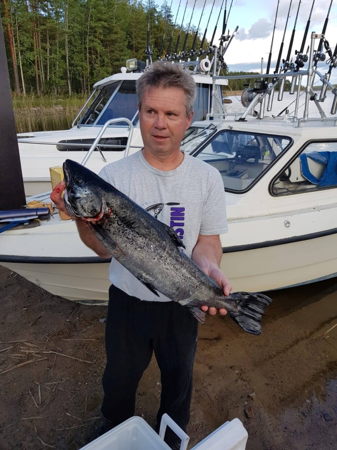 Tintti-Uistimen galleria