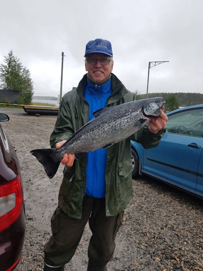 Tintti-Uistimen galleria