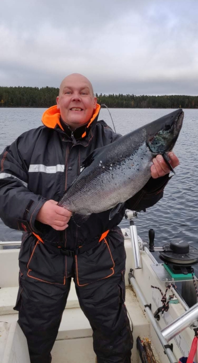 Tintti-Uistimen galleria