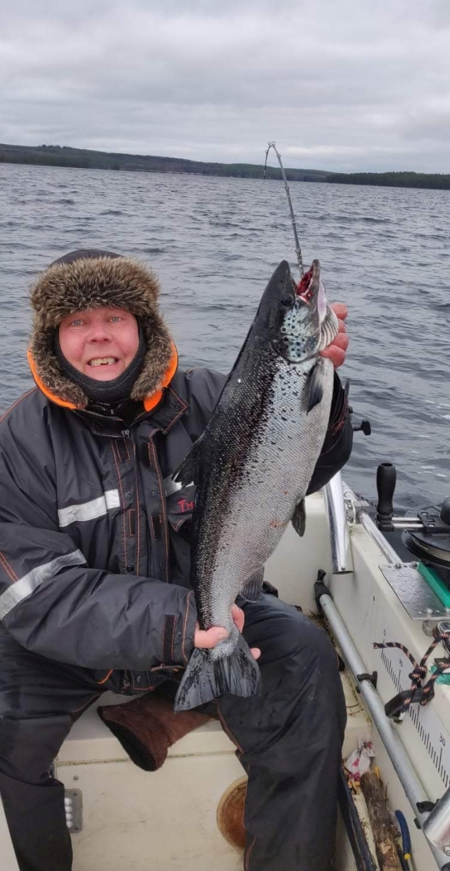 Tintti-Uistimen galleria