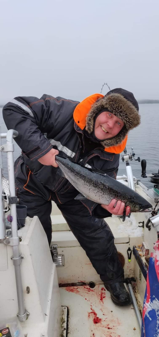 Tintti-Uistimen galleria