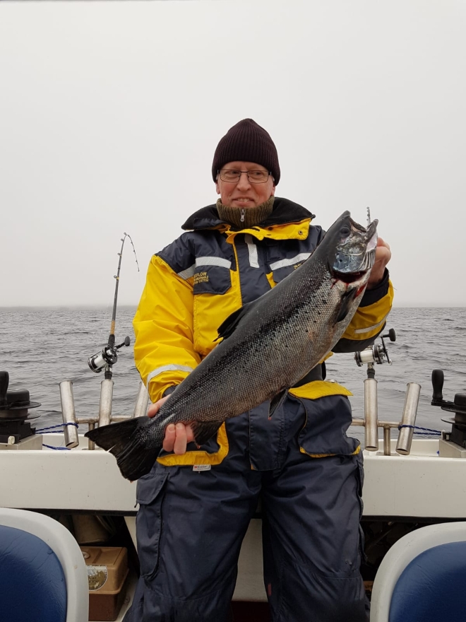 Tintti-Uistimen galleria