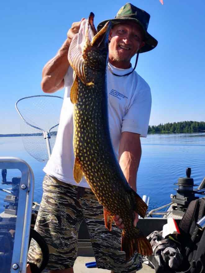 Tintti-Uistimen galleria